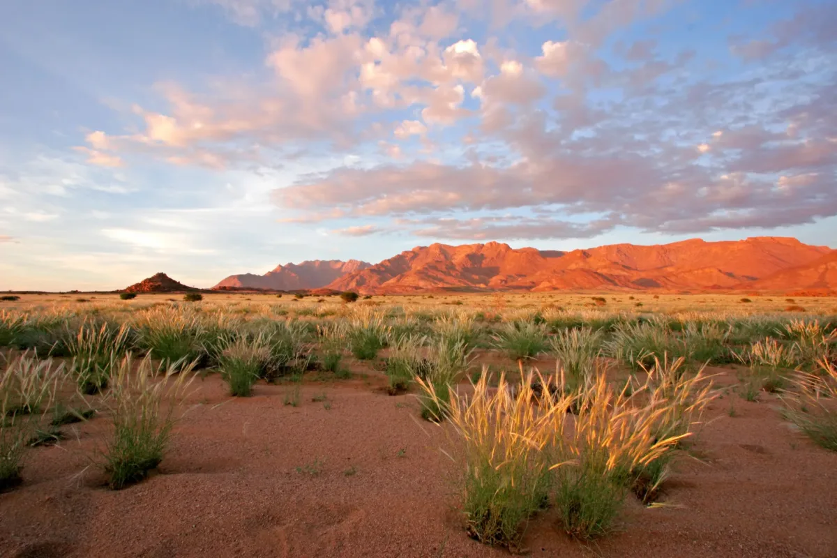 Afrika