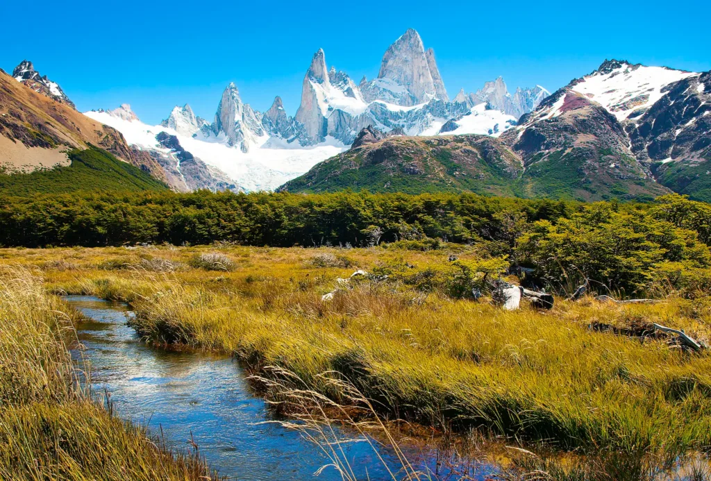 Pohled na zasněžený masiv Fitz Roy nad horským potokem a travnatým údolím v Patagonii.