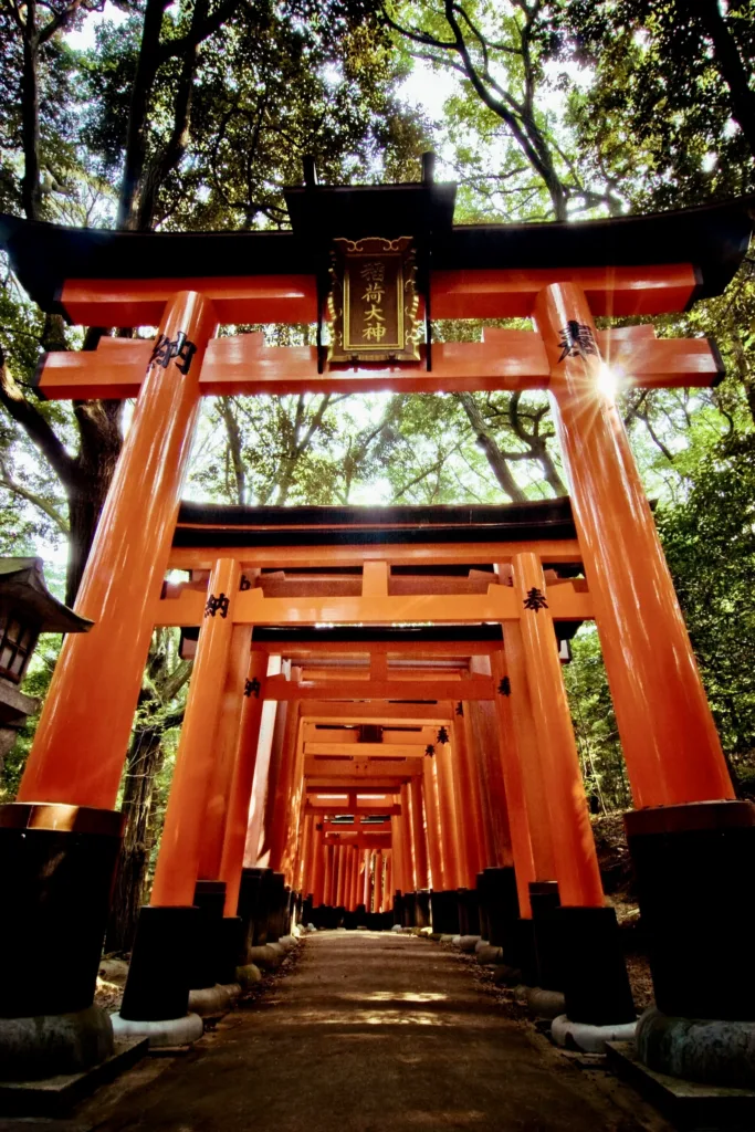 Řada červenooranžových bran torii tvoří stezku pod korunami stromů.