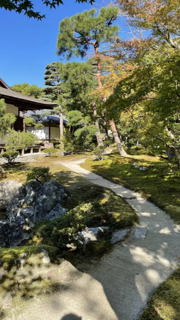 Písková cesta vede mezi mechem, kameny a stromy v klidné japonské chrámové zahradě.