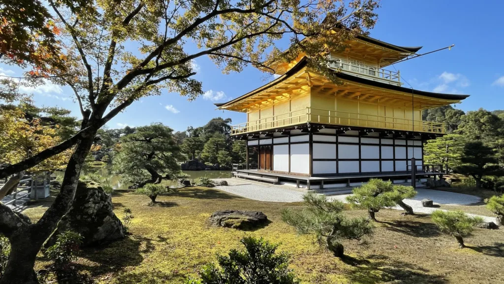 Zlatý pavilon Kinkaku-dži v japonské zahradě s podzimním stromem v popředí