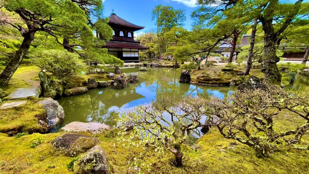 Japonská zahrada s jezírkem, mechem porostlými kameny, tvarovanými stromy a pavilonem chrámu Ginkaku-dži.