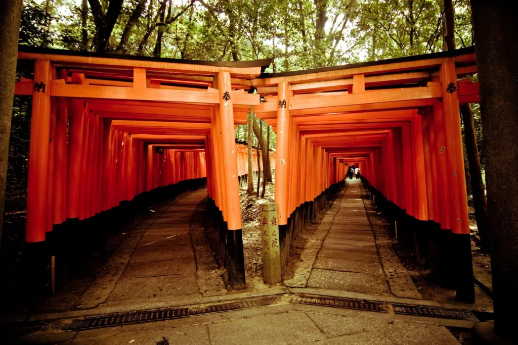 Dvojice cest lemovaných hustou řadou oranžových bran torii ve svatyni Fushimi Inari v Kjótu.