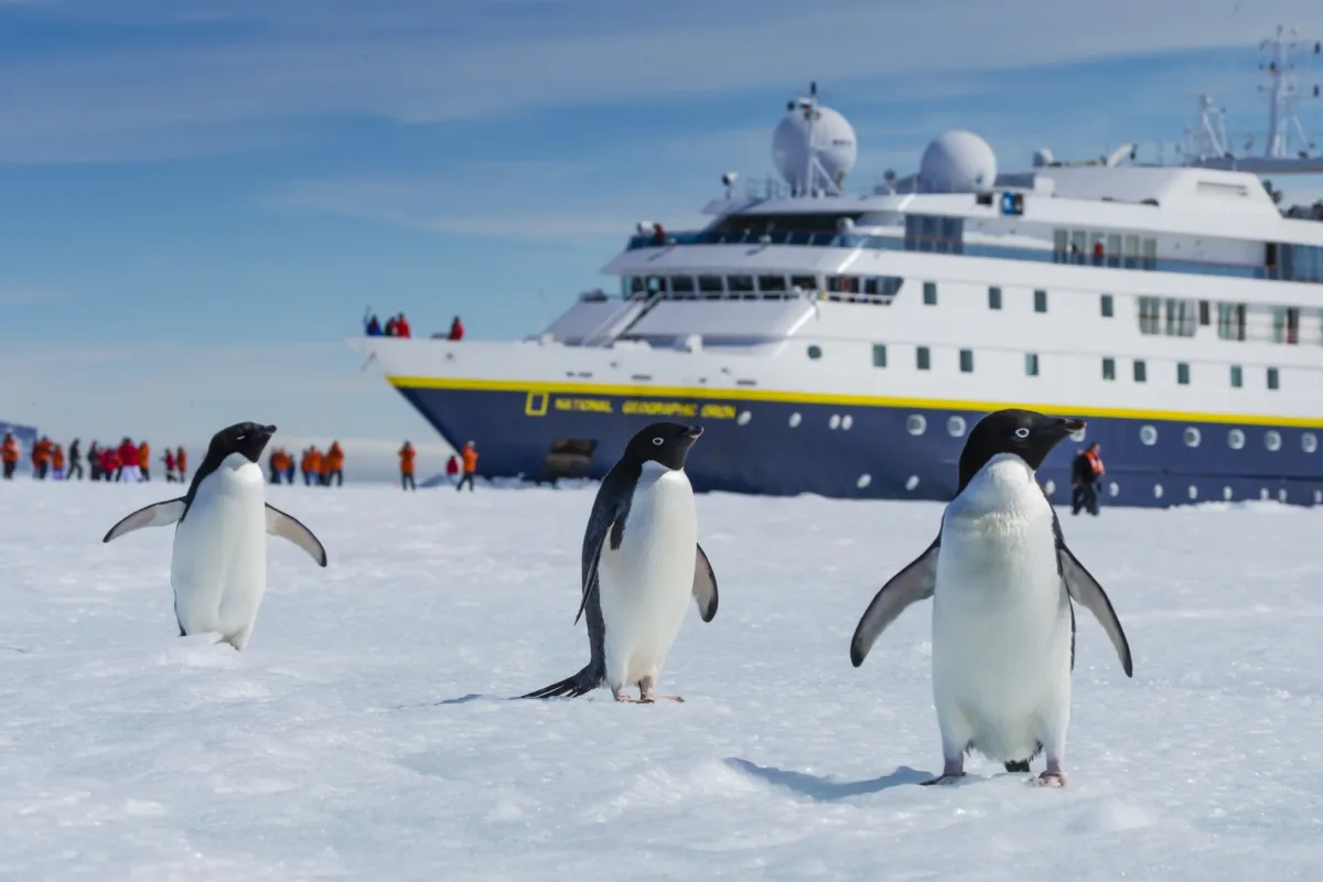 Antarktida: National Geographic Explorer