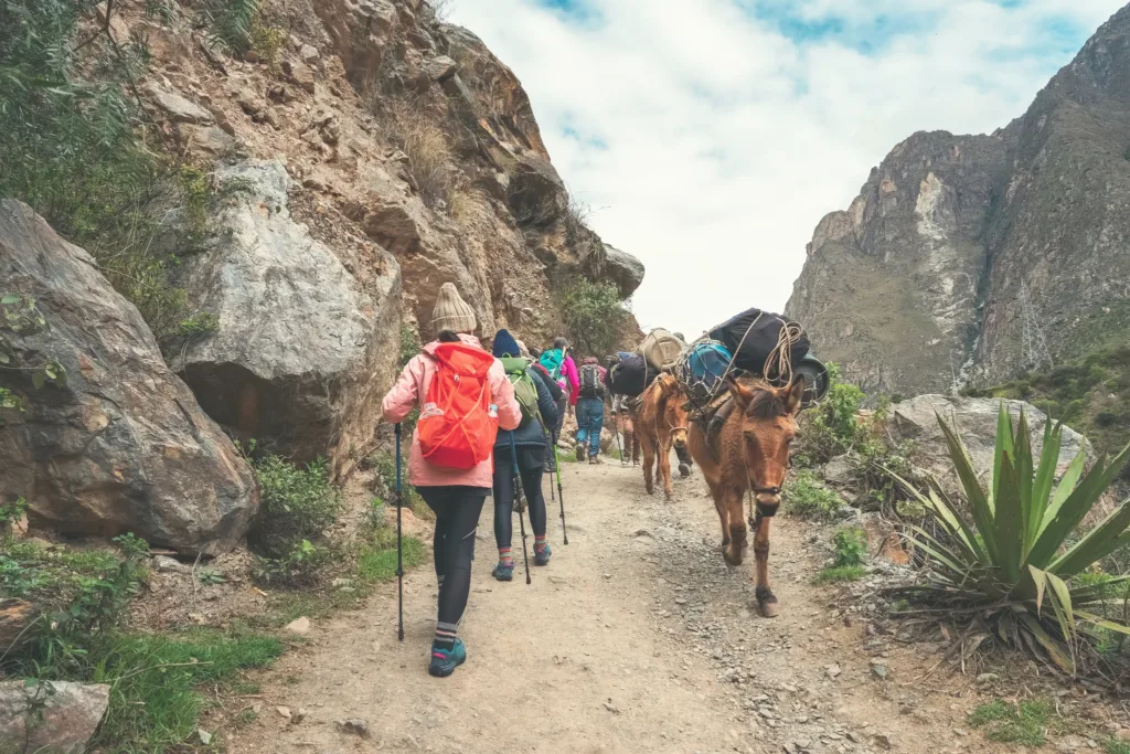 Turisté jdou po kamenité cestě mezi vysokými skalami, kolem nich procházejí osli s nákladem.