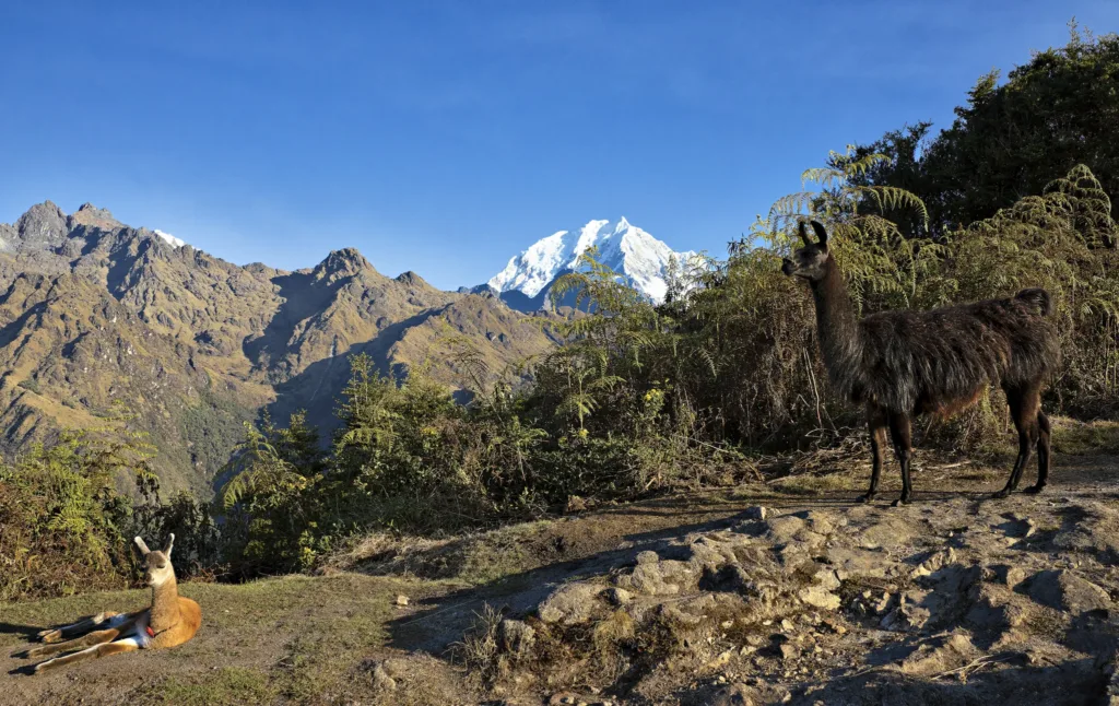 Inca trail. Výhled na Salkantay.