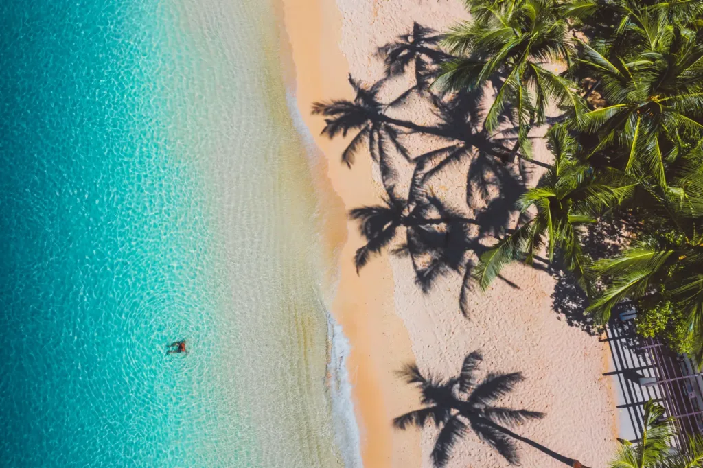 Pohled shora na tyrkysové moře, světlý písek a palmy vrhající stíny na tropickou pláž.