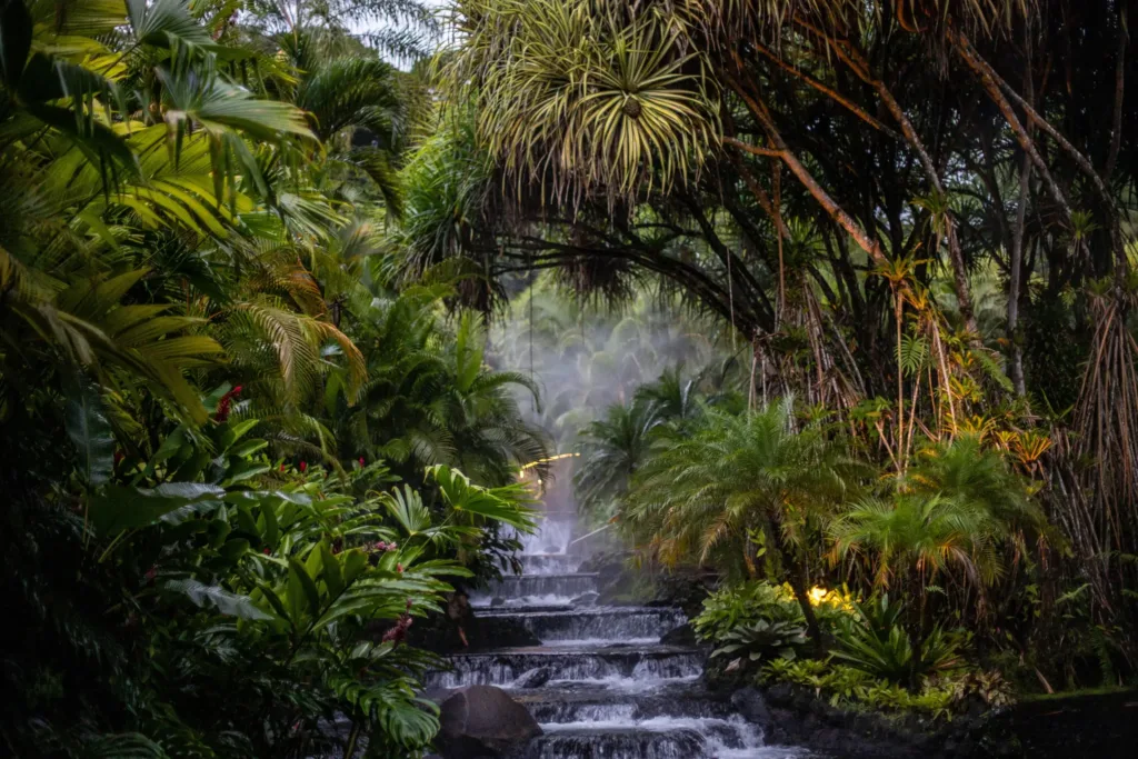 Kamenné schody s tekoucí vodou mezi hustou tropickou vegetací a palmami
