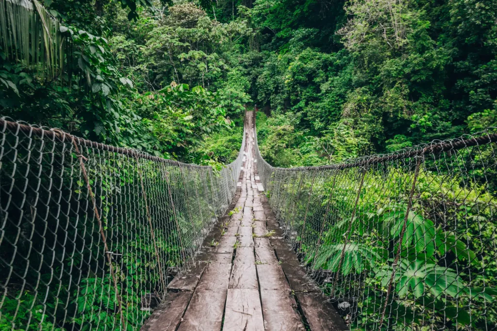 Úzký visutý most s dřevěnou lávkou vede hustou zelenou tropickou vegetací.