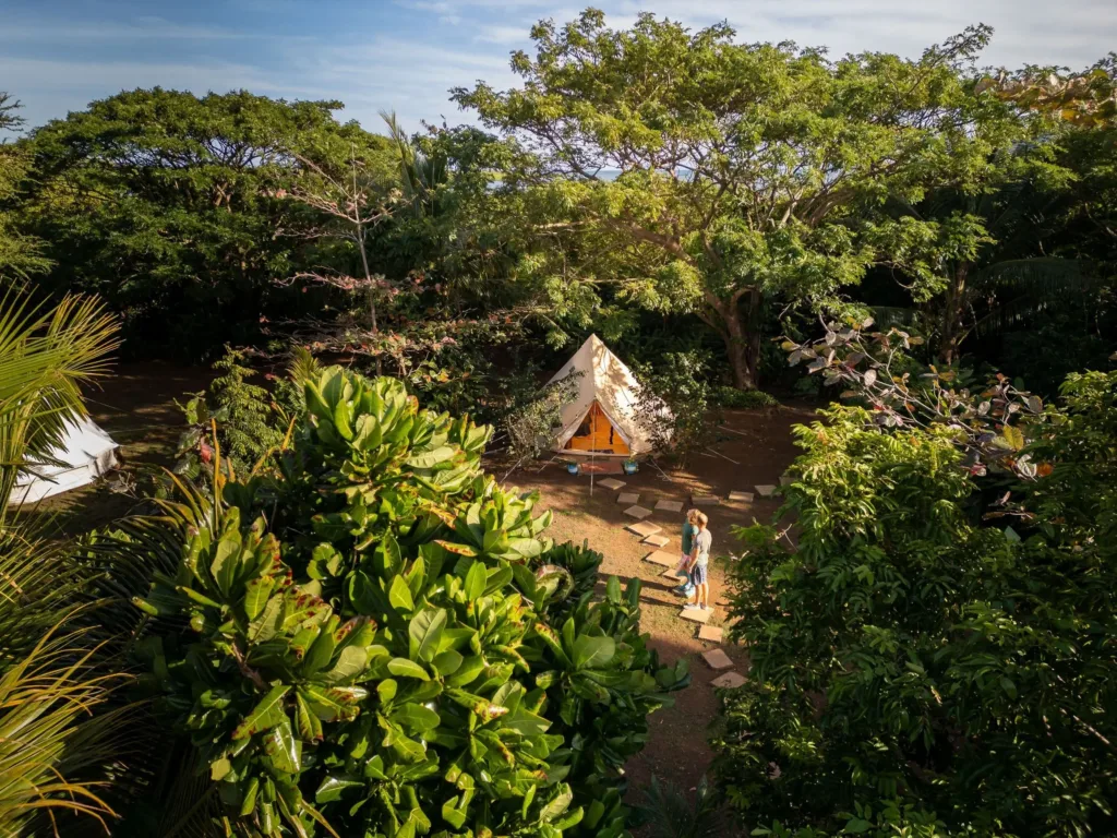 Dva lidé kráčejí po pěšině mezi bujnou tropickou vegetací k plátěným stanům ve tvaru A.