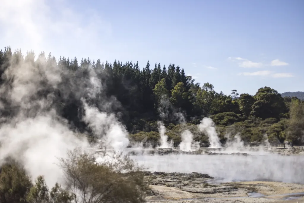Sloupy páry stoupající z horkých pramenů a geotermálních jezírek obklopených lesem