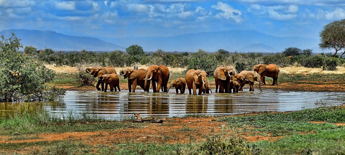 Safari v Jižní Africe: Národní park Kruger a Panorama Route