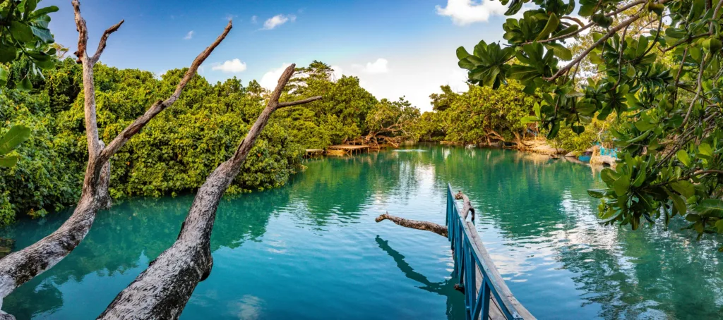 Tyrkysová laguna obklopená hustou tropickou vegetací, s dřevěným molem a kmeny stromů nad hladinou.