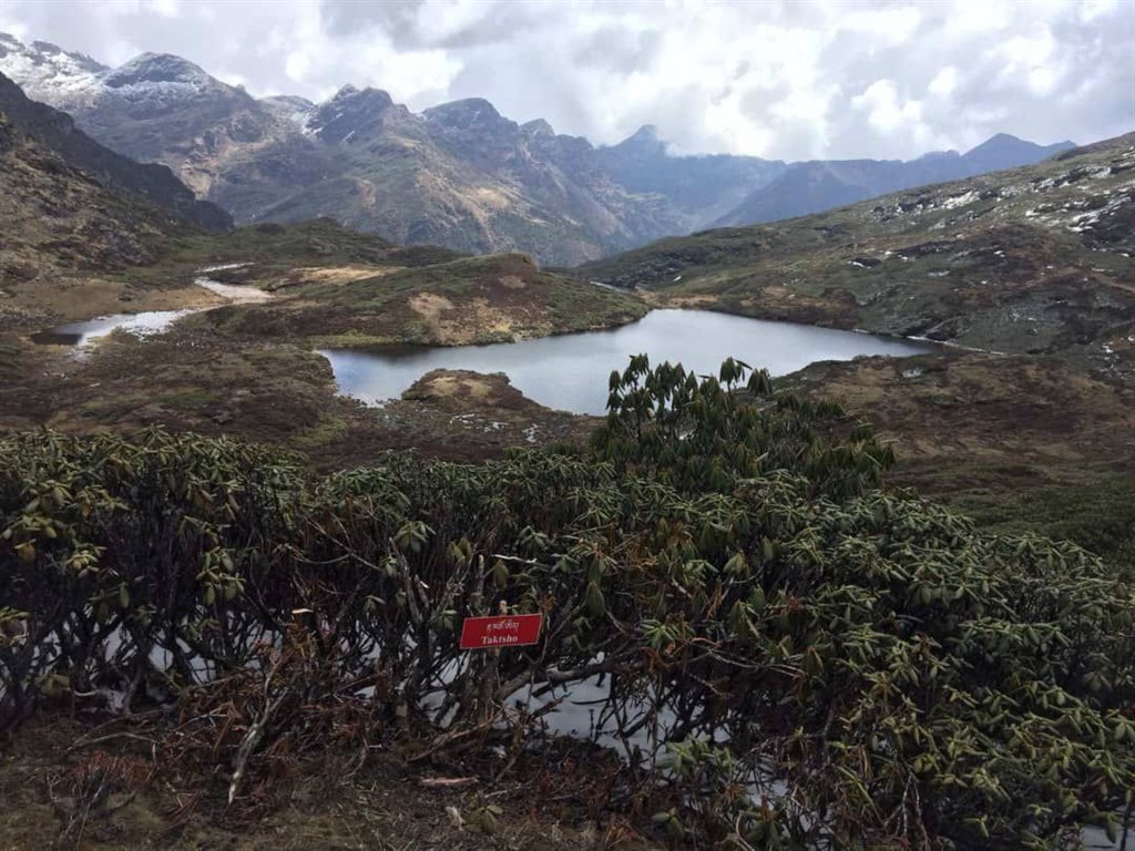 Horské jezero obklopené rododendrony s cedulí "Taktsho", v pozadí zasněžené himálajské vrcholky pod oblačnou oblohou